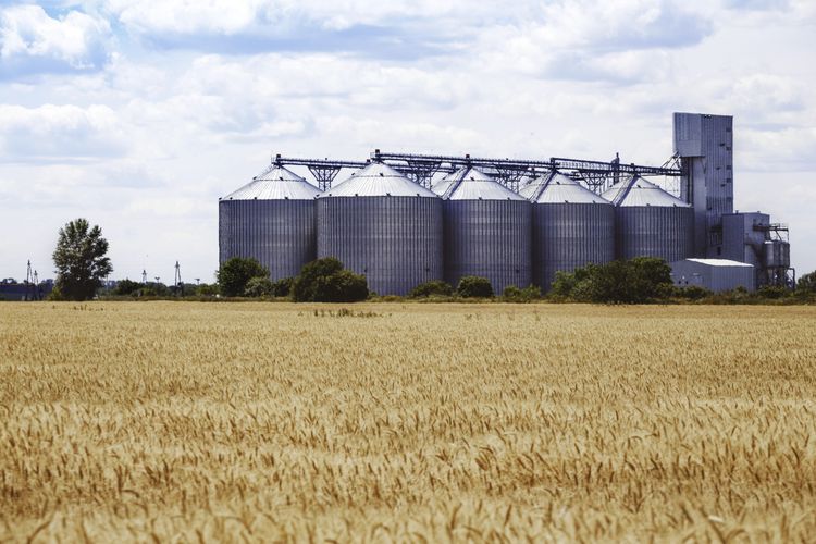 animal_feed_silo_on_cattle_farm.jpg